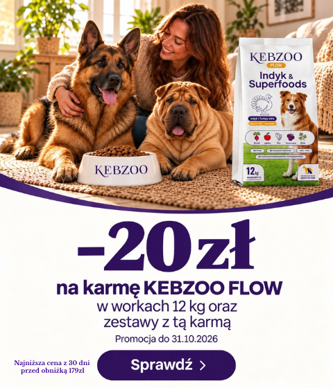 Flow X 2026